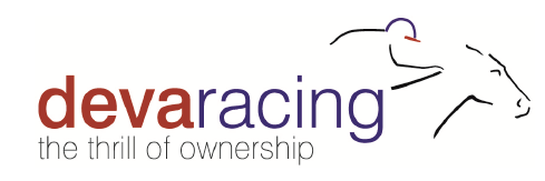 Deva Racing Group Ltd logo